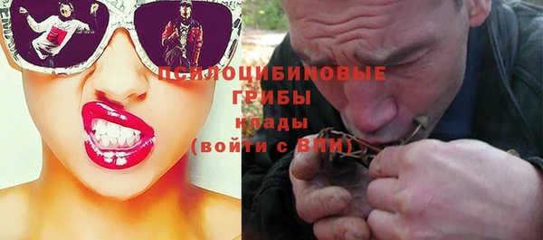 мяу мяу мука Снежинск