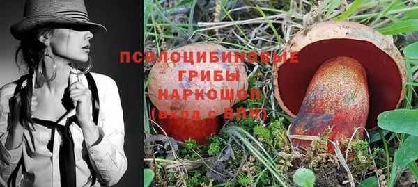 дживик Слюдянка