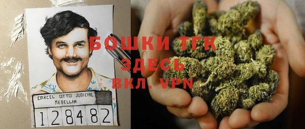 стафф Снежногорск