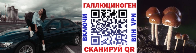 Псилоцибиновые грибы Psilocybe  Миллерово 