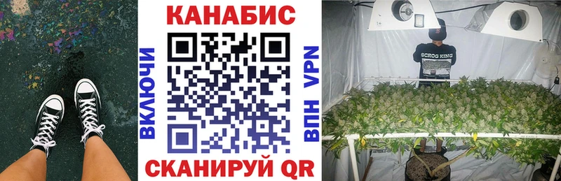 Бошки Шишки сатива Миллерово